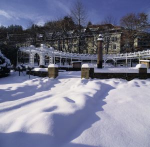 Rosengarten im Winter Bad Wildbad